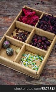 box collected in the fall of medicinal herbs for teas and medicinal teas