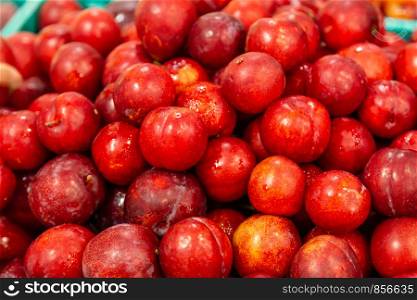 Box of fresh red plums, closeup