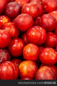 Box of fresh red plums, closeup