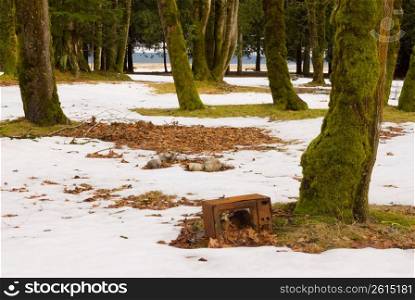 Box on snow-covered ground in park