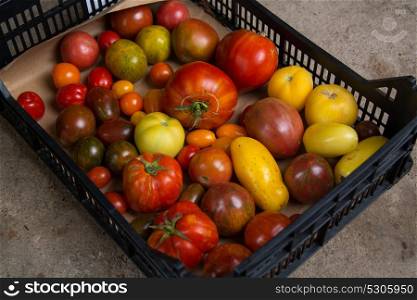box with different kind tomatoes, biologic farming