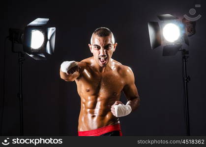 Boxer and studio lights