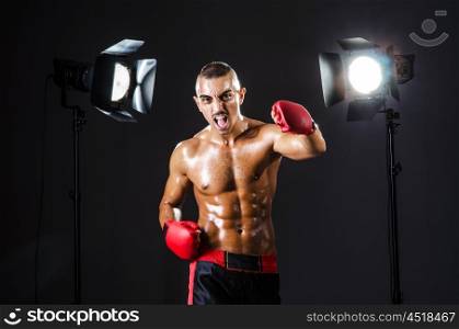 Boxer and studio lights