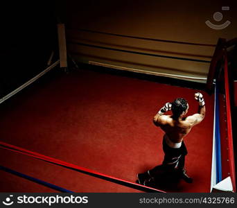 Boxer in boxing ring