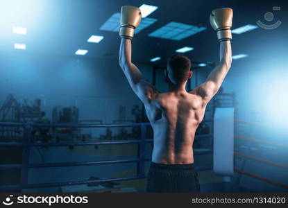 Boxer in gloves hands up on the ring, back view. Boxing workout, mens sport