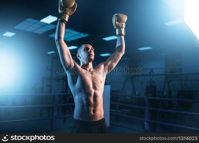 Boxer in gloves hands up on the ring. Boxing workout, mens sport. Boxer in gloves hands up on the ring, back view