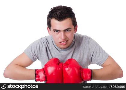 Boxer preparing for the tournament isolated on white