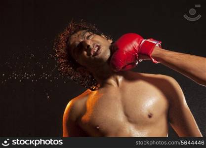 Boxer striking opponent