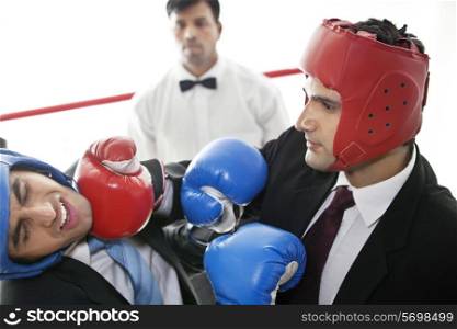 Boxer striking opponent