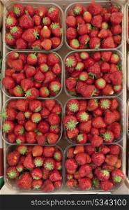 Boxes with fresh strawberries