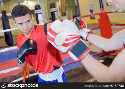 boxing sparring