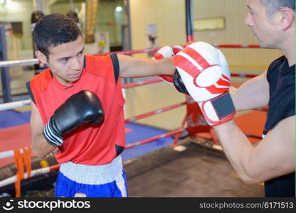 boxing training