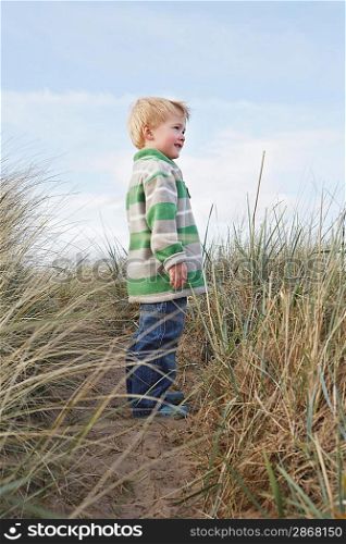 Boy (3-4) standing on path among long grass