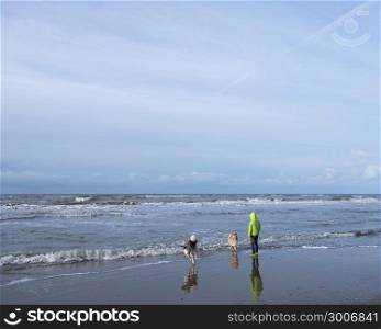 boy and dogs on north sea beach in dutch province of north holland on winter day