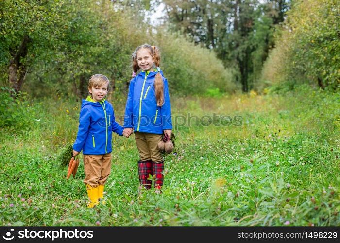 Boy and girl in the garden, harvest in a large basket: carrots, beets, parsley. Sunset. Boy and girl in the garden, harvest in a large basket: carrots, beets, parsley.