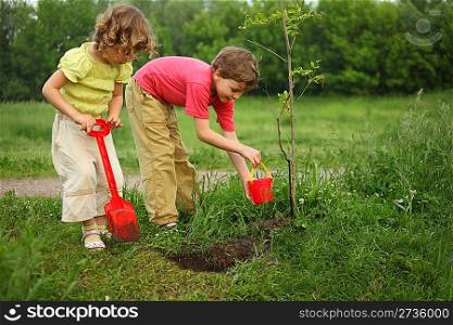 boy and girl plant tree
