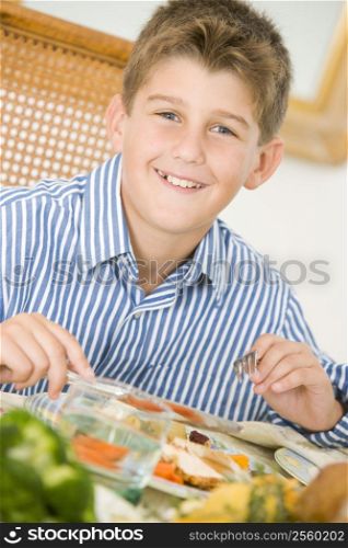 Boy At Christmas Dinner