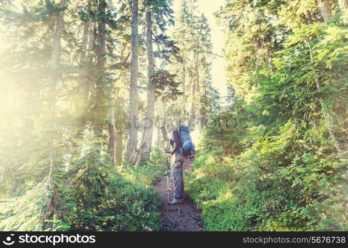 Boy backpacker in forest