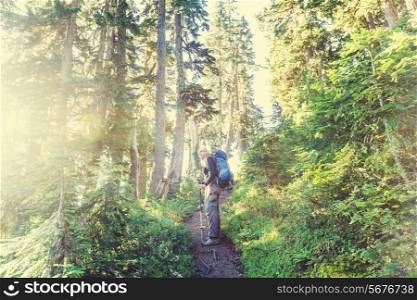 Boy backpacker in forest