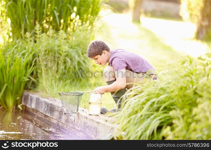Boy Fishing In Pond With Net And Jar