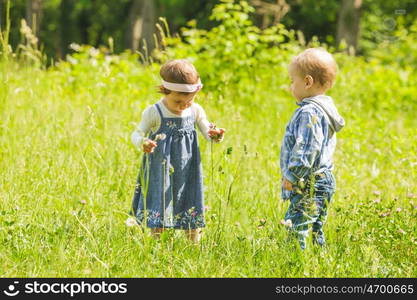 Boy gives a flower to girl. Little kids play outdoors. Boy and girl