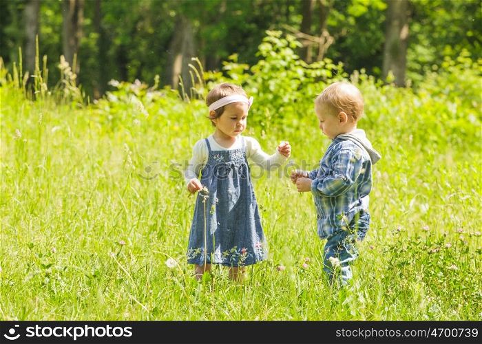Boy gives a flower to girl. Little kids play outdoors. Boy and girl