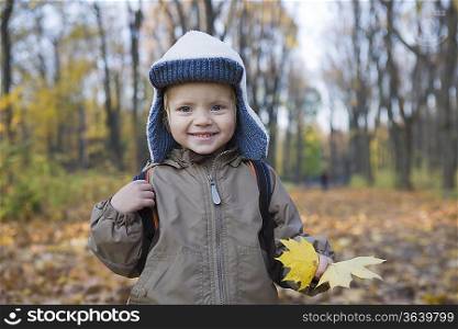 Boy holding leaves in park, portrait