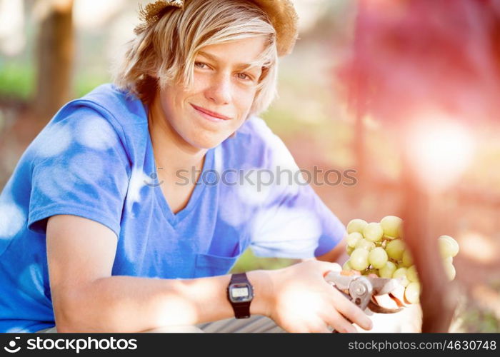 Boy in vineyard. Boy picking grapes in vineyard