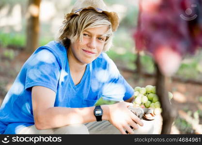 Boy in vineyard. Boy picking grapes in vineyard