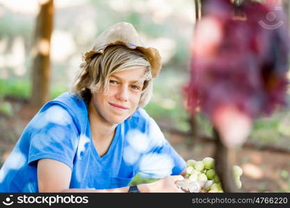 Boy in vineyard. Boy picking grapes in vineyard