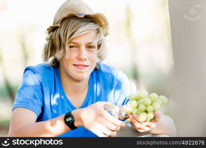 Boy in vineyard. Boy picking grapes in vineyard