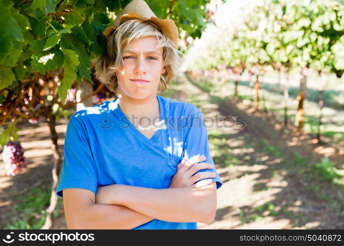 Boy in vineyard. Boy picking grapes in vineyard