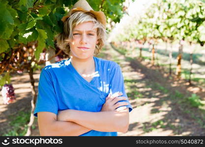 Boy in vineyard. Boy picking grapes in vineyard