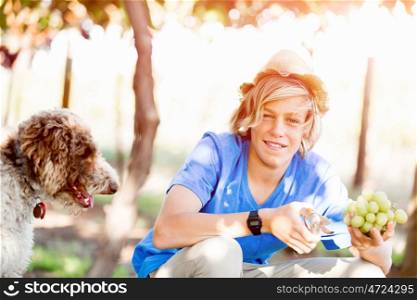Boy in vineyard. Boy picking grapes in vineyard with a dog