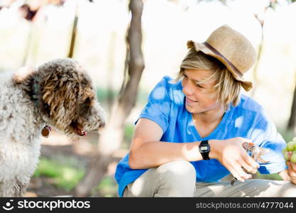 Boy in vineyard. Boy picking grapes in vineyard with a dog