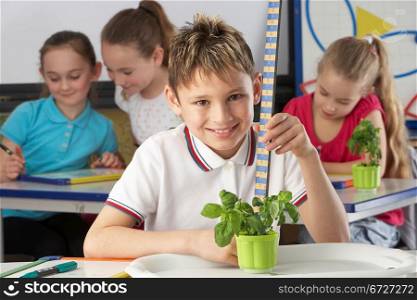 Boy learning about plants in school class