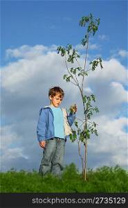 boy plants the tree