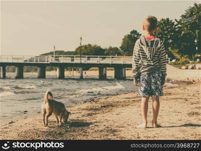 Boy playing with his dog.. Connection between animals and kids concept. Sportive mixed race dog and boy kid playing together. Active child with puppy having fun.