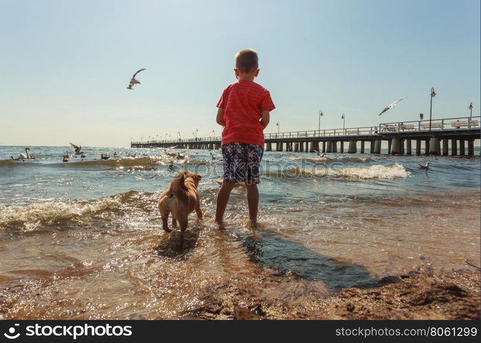 Boy playing with his dog.. Connection between animals and kids concept. Sportive mixed race dog and boy kid playing together. Active child with puppy having fun.