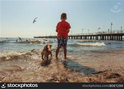 Boy playing with his dog.. Connection between animals and kids concept. Sportive mixed race dog and boy kid playing together. Active child with puppy having fun.