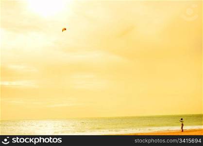 Boy playing wtih flying kite on the ocean beach. Sri Lanka