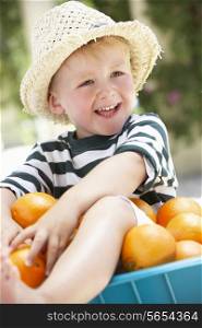 Boy Sitting In Wheelbarrow Filled With Oranges