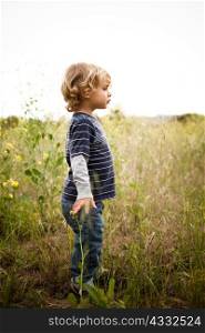 Boy standing in field