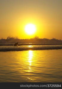 Boy surfing at ocean orange sunset.