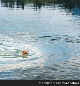 Boy swimming in lake