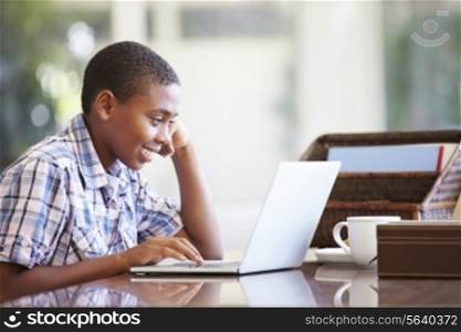 Boy Using Laptop On Desk At Home