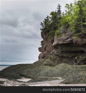 Boy walking at rocky coastline, Hopewell Rocks, Bay of Fundy, New Brunswick, Canada