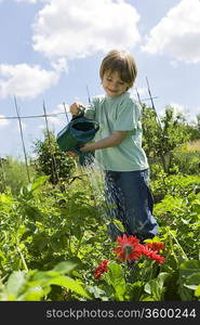 Boy watering flowers in garden