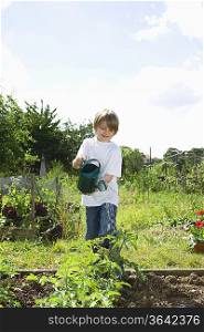 Boy watering plants in garden
