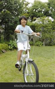 Boy who takes a bicycle